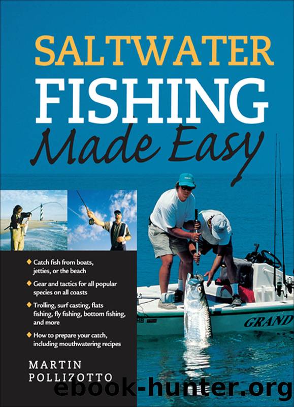 Saltwater Fishing Made Easy by Martin Pollizotto