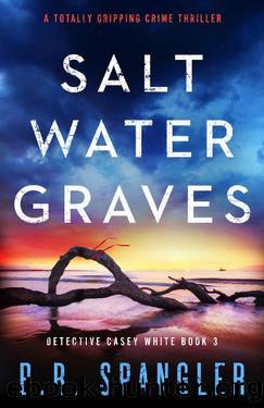 Saltwater Graves: A totally gripping crime thriller (Detective Casey White Book 3) by B.R. Spangler