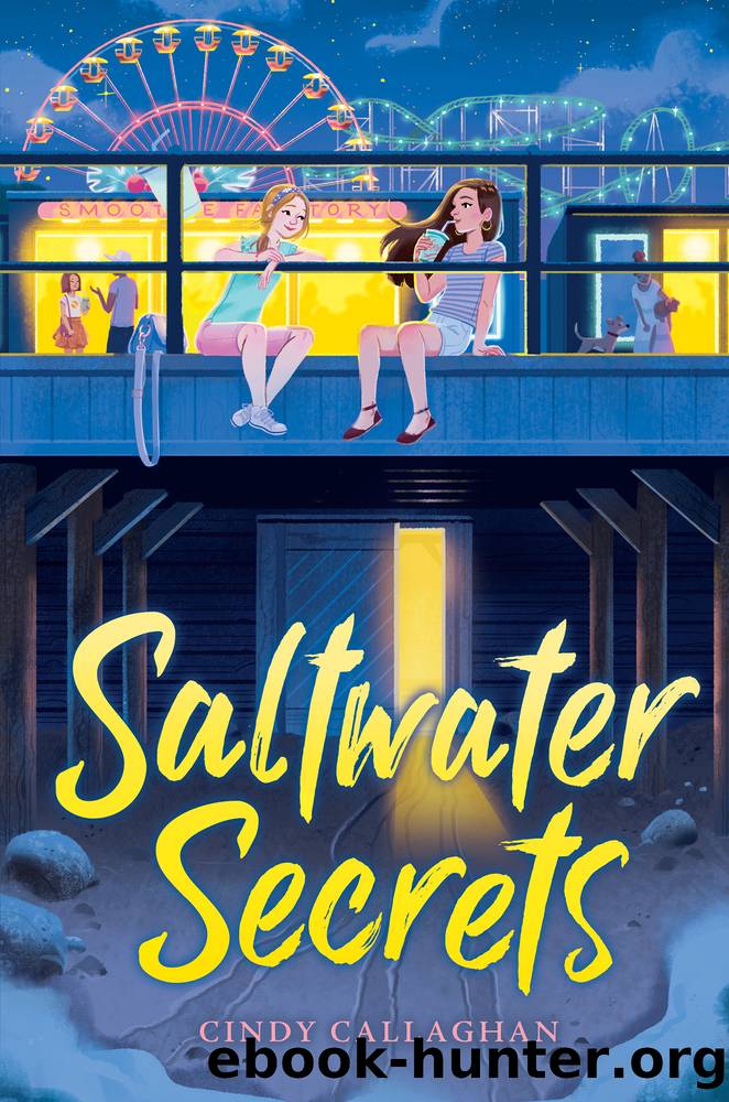 Saltwater Secrets by Cindy Callaghan