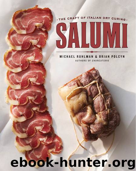 Salumi: The Craft of Italian Dry Curing by Ruhlman Michael & Polcyn Brian