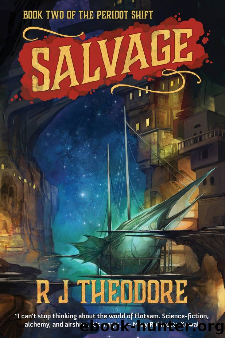 Salvage by R J Theodore
