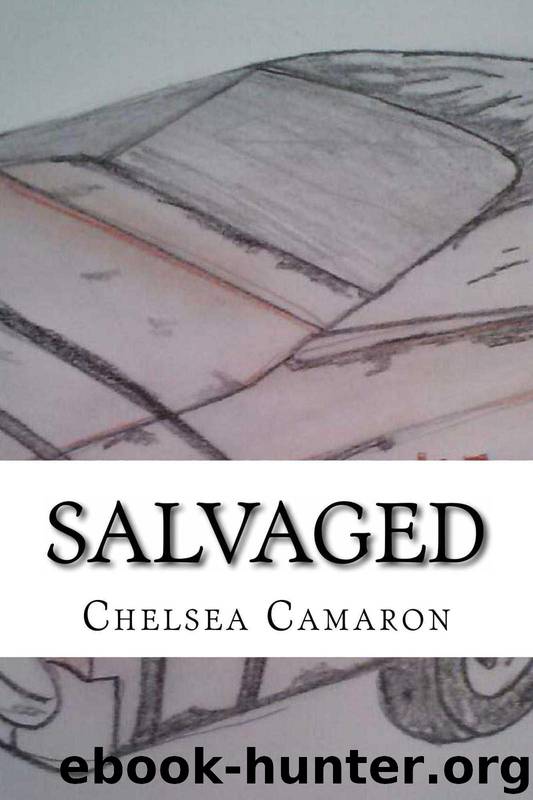 Salvaged (Daddy's Girls) by Camaron Chelsea