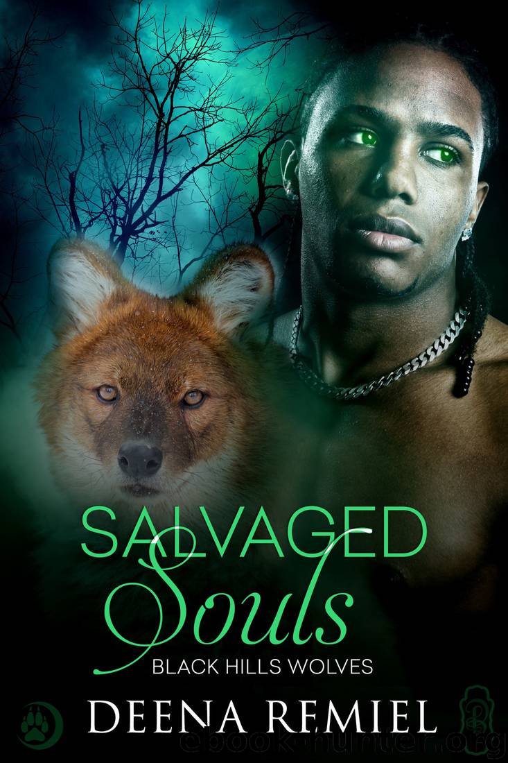 Salvaged Souls by Deena Remiel