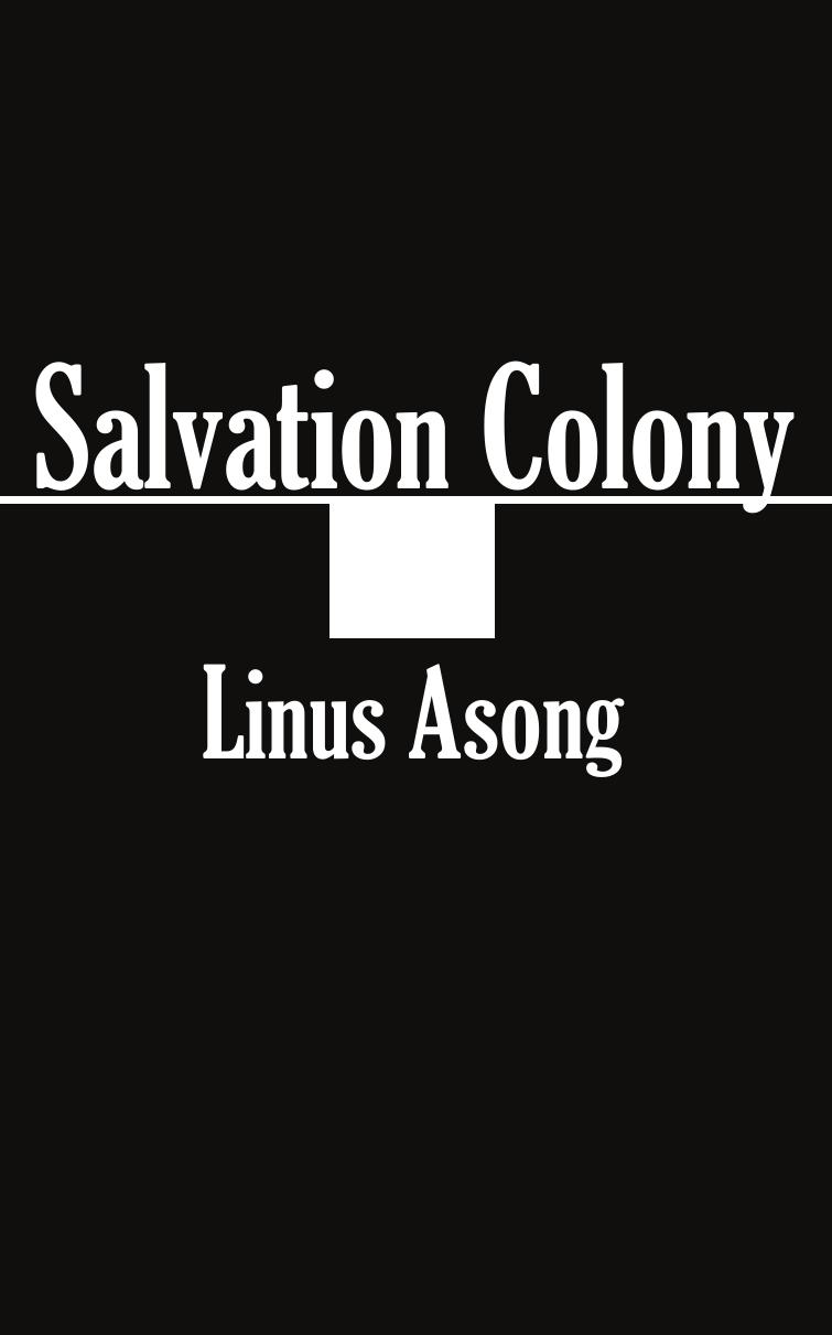 Salvation Colony by Linus Asong