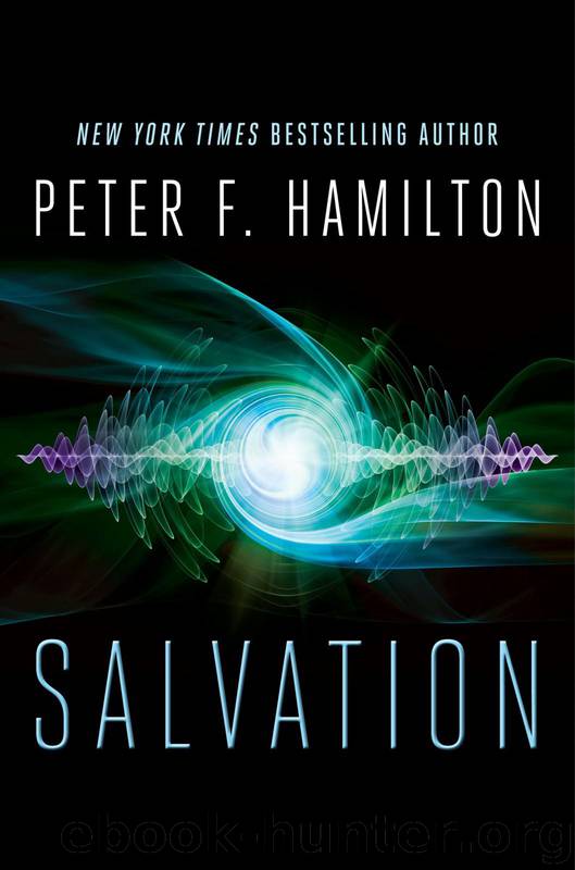 Salvation by Hamilton Peter F