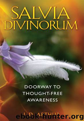 Salvia Divinorum by J D Arthur