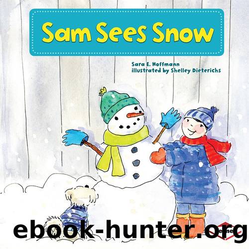 Sam Sees Snow by Sara E. Hoffmann