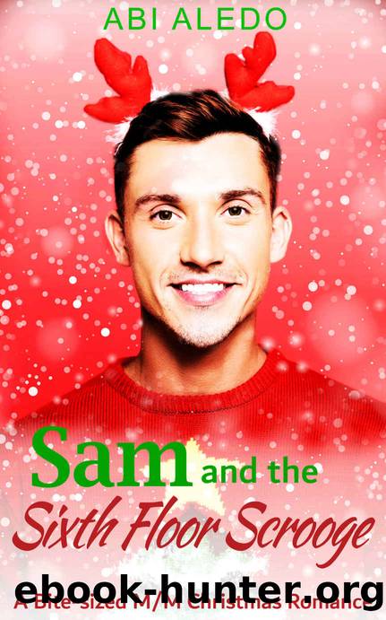 Sam and the Sixth Floor Scrooge: Magical Mistletoe Book One by Abi Aledo