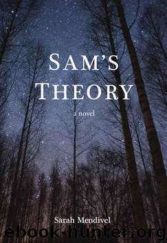 Sam's Theory by Sarah Mendivel