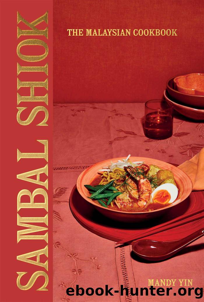 Sambal Shiok by Mandy Yin