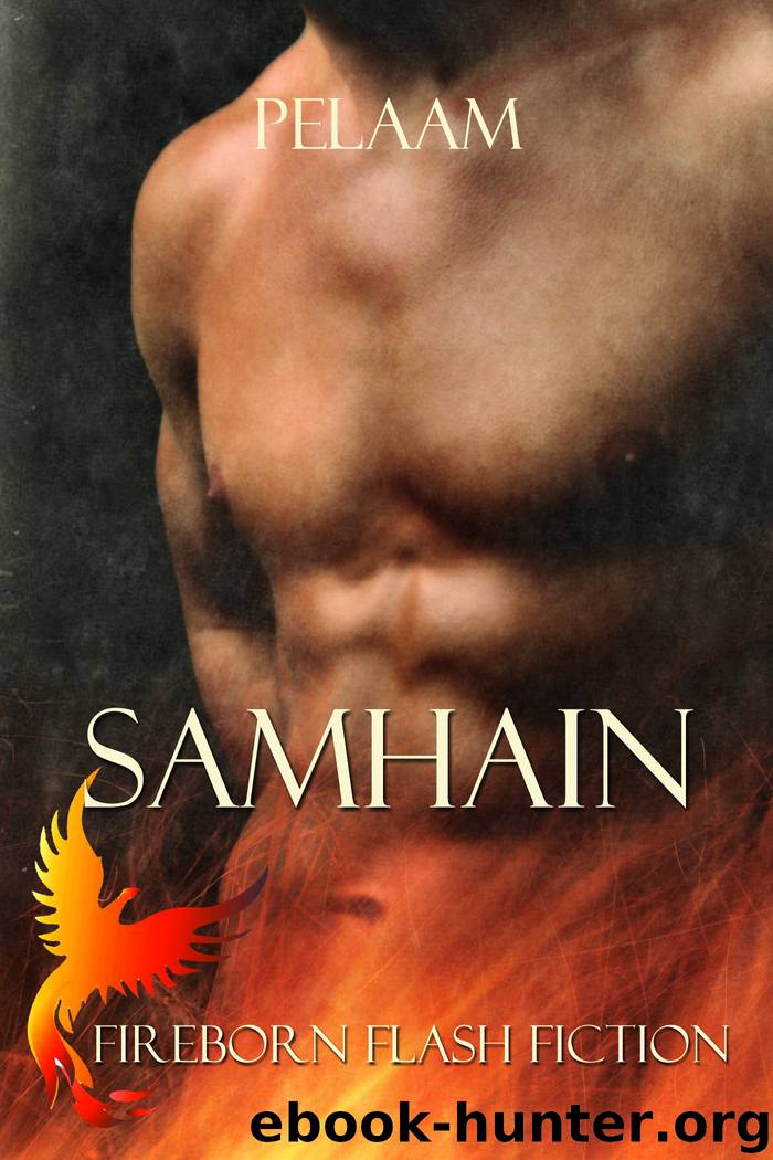 Samhain by Pelaam