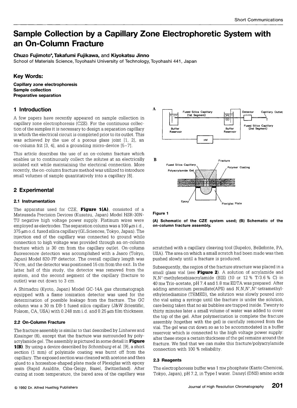 Sample collection by a capillary zone electrophoretic system with an on-column fracture by Unknown