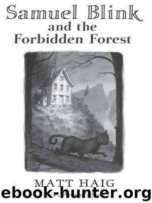 Samuel Blink and the Forbidden Forest by Matt Haig