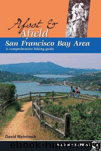 San Francisco Bay Area by David Weintraub
