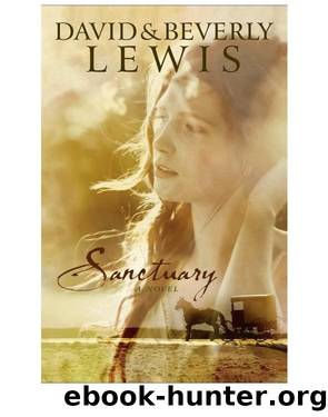 Sanctuary by David Lewis