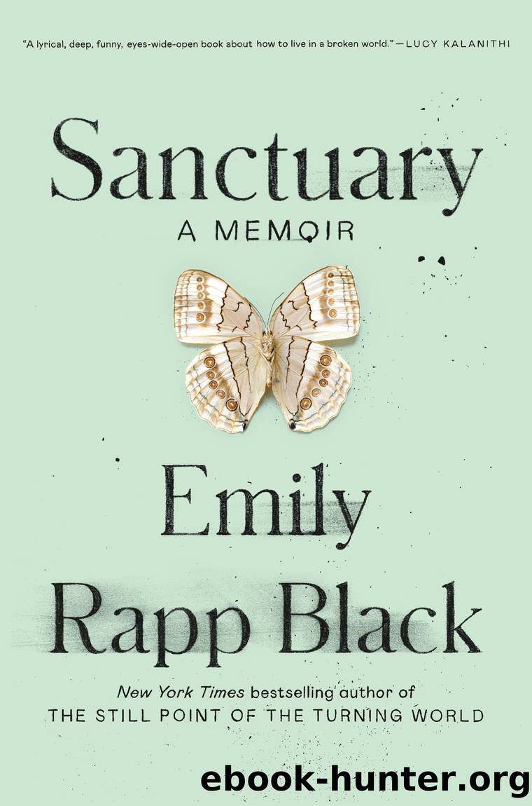 Sanctuary by Emily Rapp Black
