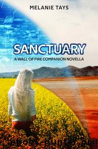 Sanctuary by Melanie Tays