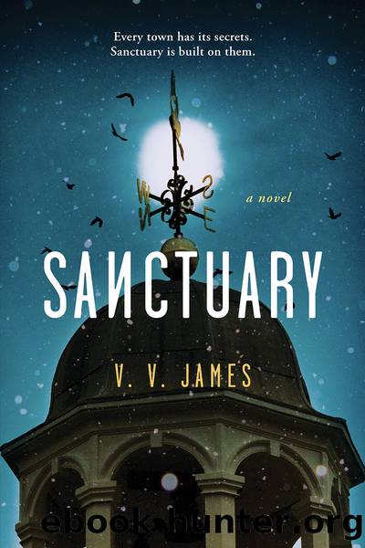 Sanctuary by V. V. James