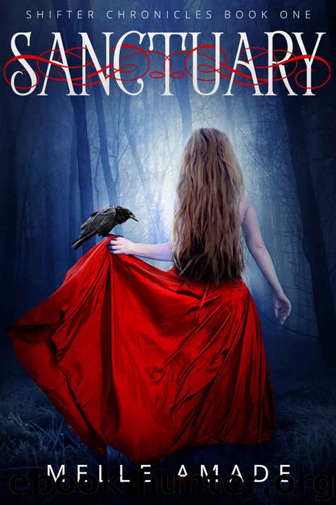 Sanctuary: A dark urban fantasy (Shifter Chronicles Book 1) by Melle Amade