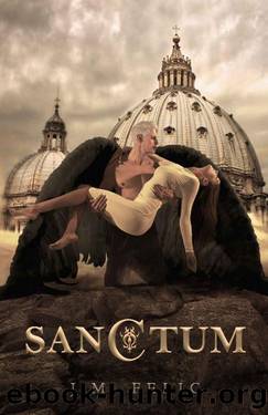 Sanctum: A Supernatural Romance by JM Felic
