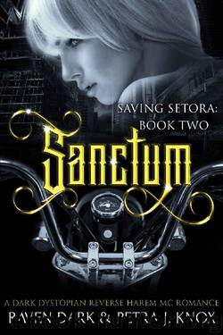 Sanctum_Saving Setora_Book Two_Dark Dystopian Reverse Harem MC Romance by Raven Dark & Petra J. Knox