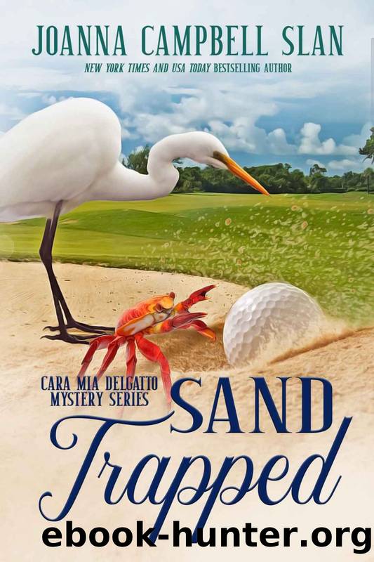 Sand Trapped by Joanna Campbell Slan