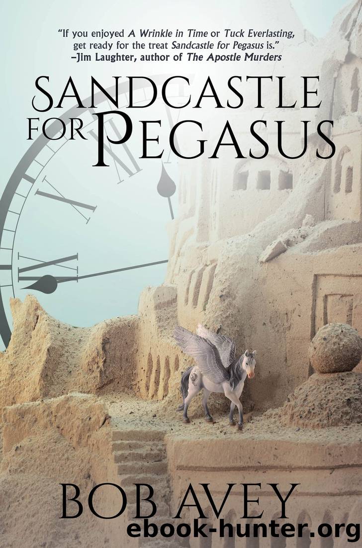 Sandcastle for Pegasus by Bob Avey