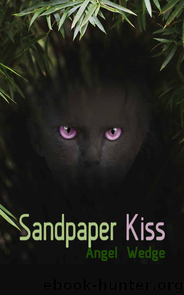 Sandpaper Kiss by Angel Wedge