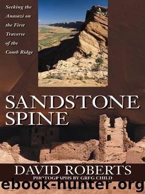Sandstone Spine by David Roberts