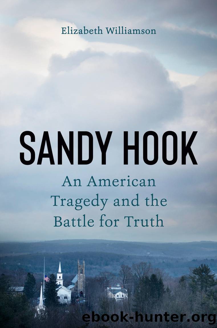 Sandy Hook by Elizabeth Williamson