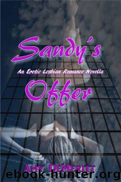 Sandy's Offer by Amy DeMeritt