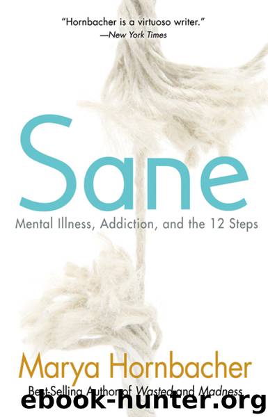 Sane by Marya Hornbacher