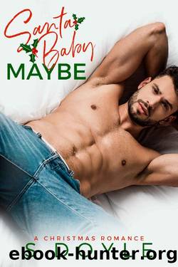 Santa Baby Maybe (Kane Christmas Book 2) by S. Doyle