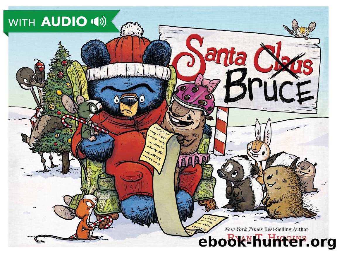 Santa Bruce by Unknown