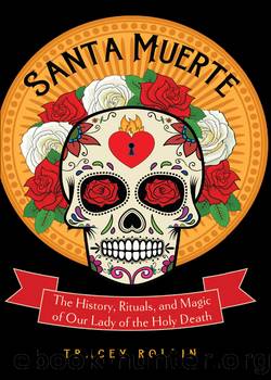 Santa Muerte by Tracey Rollin