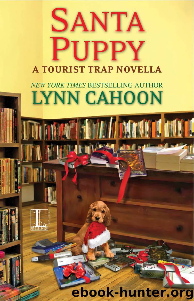 Santa Puppy by Lynn Cahoon