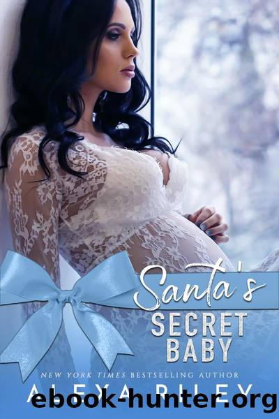Santa's Secret Baby by Alexa Riley