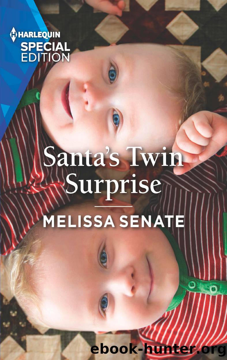 Santa's Twin Surprise by Melissa Senate