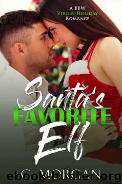 Santa’s Favorite Elf by C. Morgan