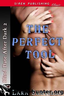 Santiago, Lara - The Perfect Tool [Blind Date After Dark 2] (Siren Publishing Classic) by Lara Santiago
