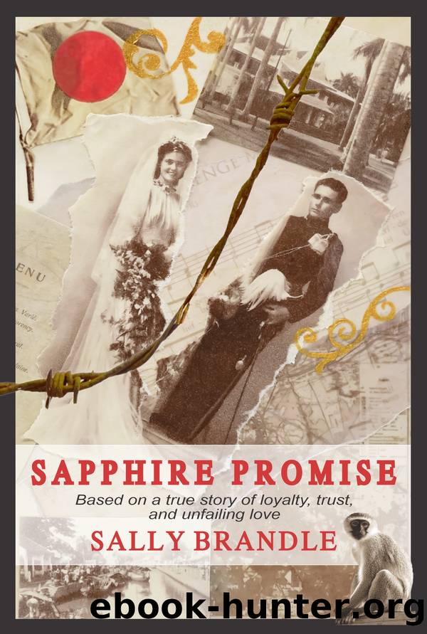 Sapphire Promise by Sally Brandle
