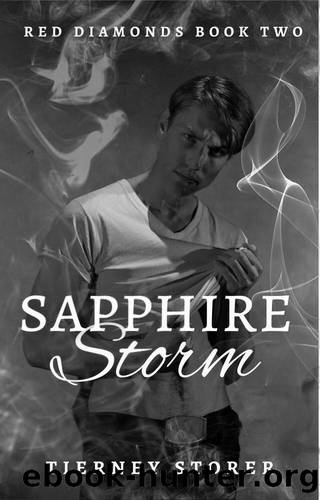 Sapphire Storm (Red Diamonds Book 2) by Tierney Storer
