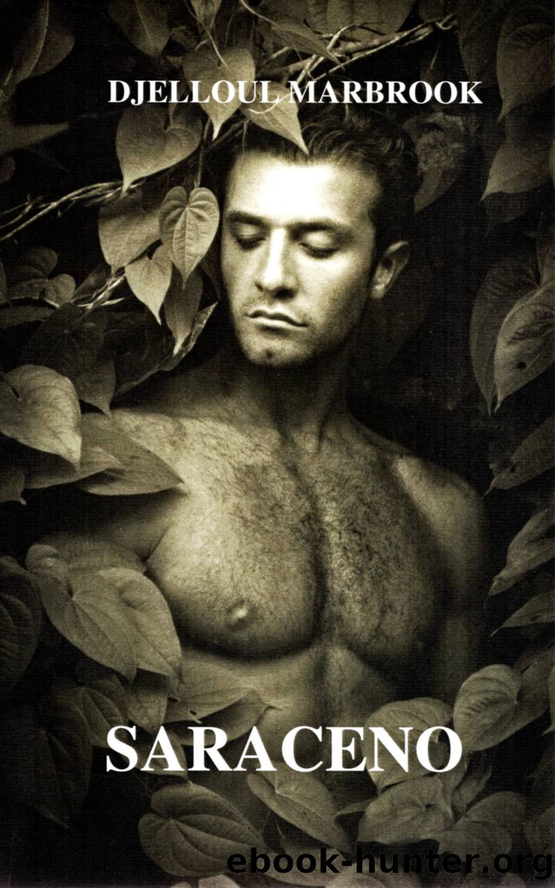 Saraceno by Djelloul Marbrook