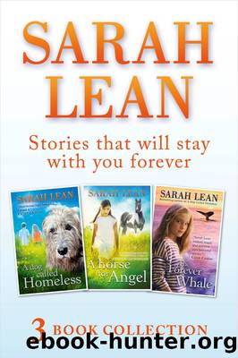 Sarah Lean--3 Book Collection (A Dog Called Homeless, a Horse for Angel, the Forever Whale) by Sarah Lean