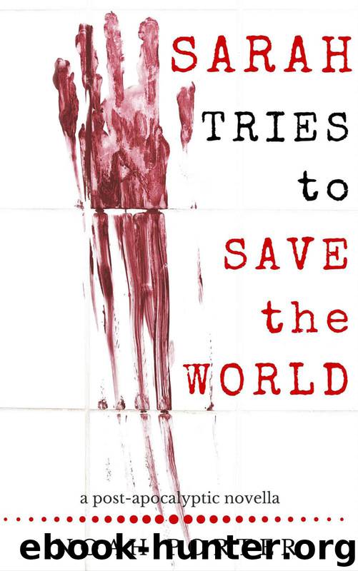 Sarah Tries to Save the World by Porter Noah