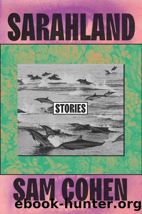 Sarahland by Sam Cohen