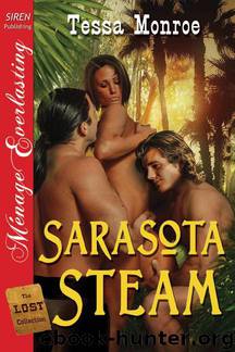 Sarasota Steam by Tessa Monroe