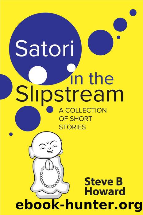 Satori in the Slipstream by Steve Howard
