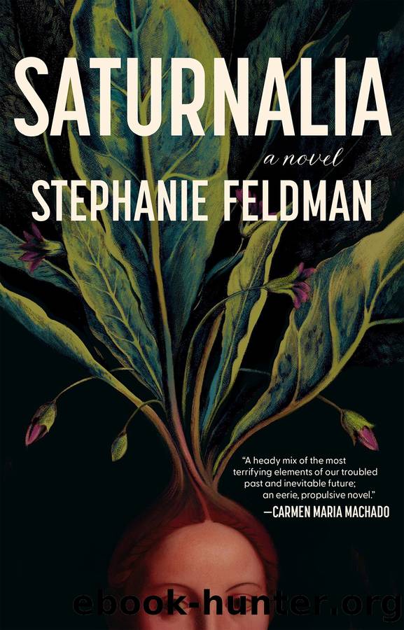 Saturnalia by Stephanie Feldman