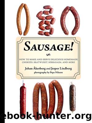 Sausage! by Johan Ákerberg